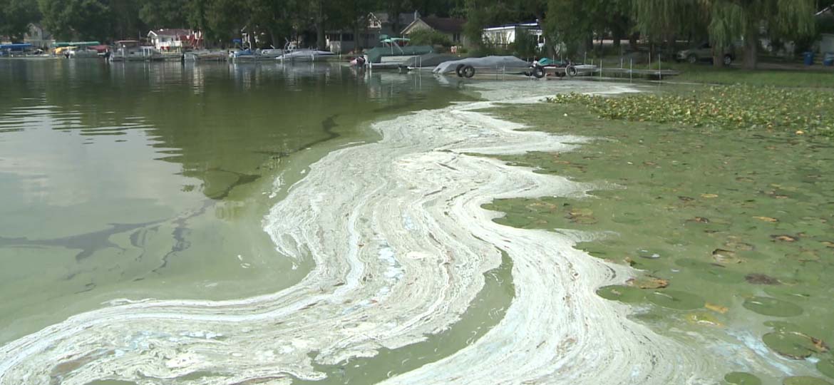 Koontz Lake Blue/Green Algae